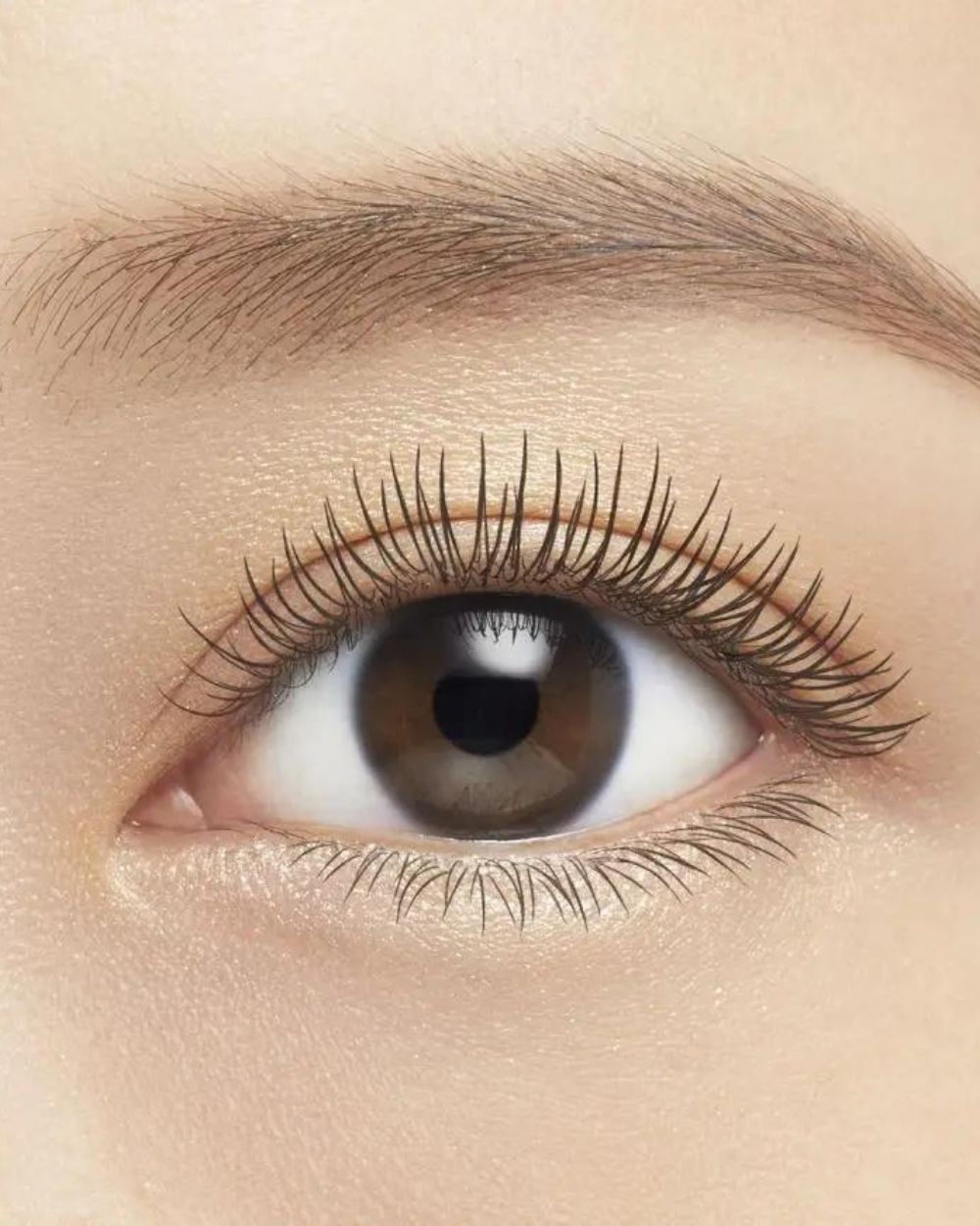 Isehan - Kiss Me Long & Curl Mascara Advanced Film